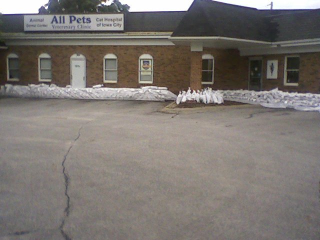 All Pets Local veterinarian off
