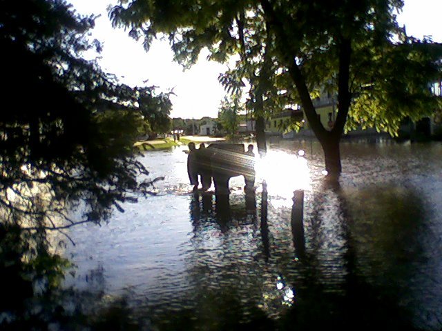 Walking Through Water A group w