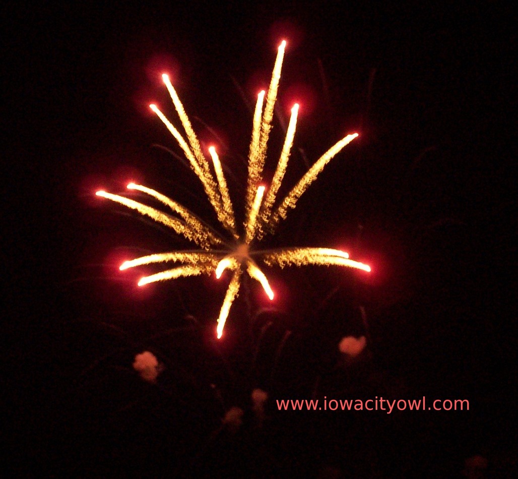Fireworks Display Some of the f
