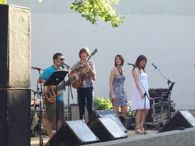 Friday Night Concert Series Pic