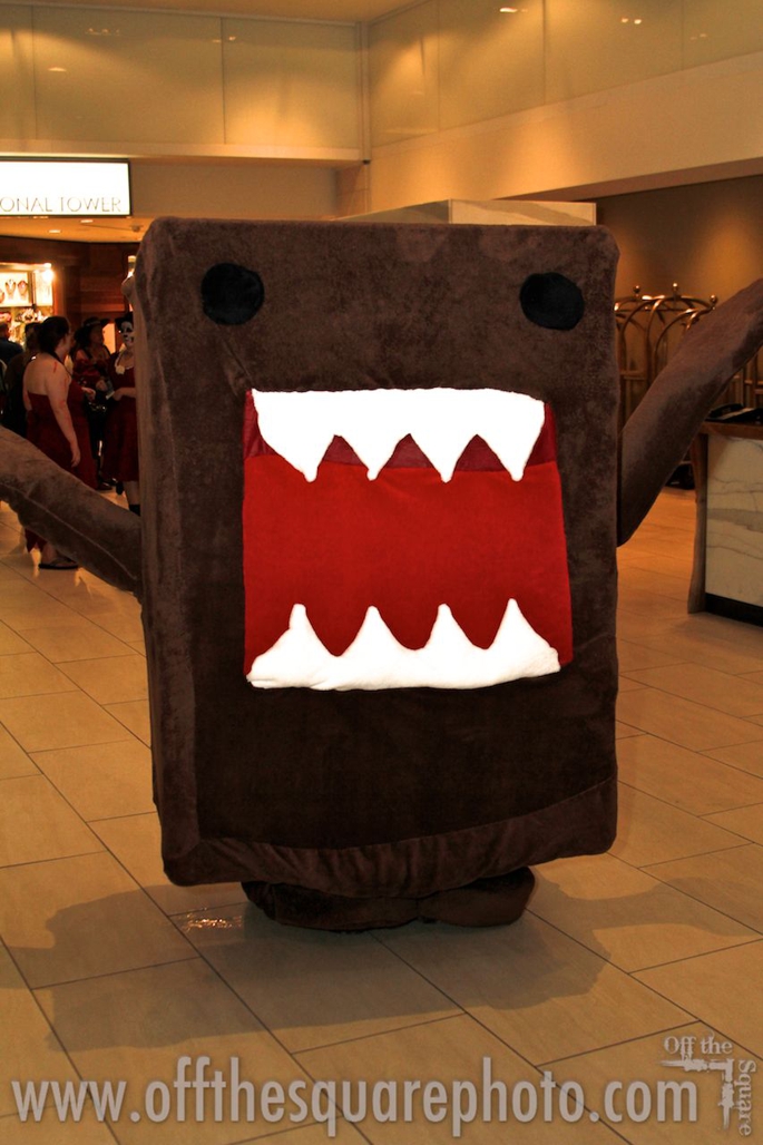 Domo 