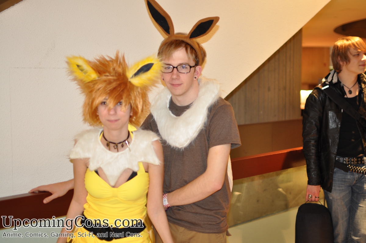 Eevee and Jolteon From Pokemon.