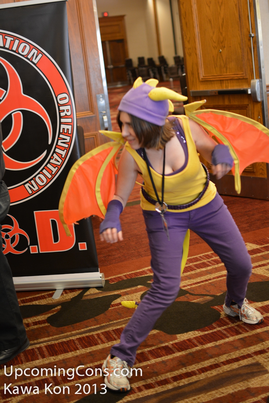 Spyro the Dragon 