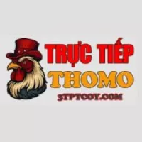 dagatructiep3tpt