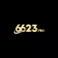 pro6623
