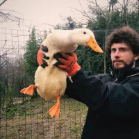giojo