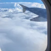 q23456987