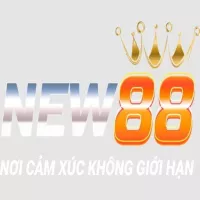 new88city
