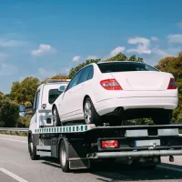 impfreightsolutions