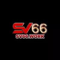 linksv66work