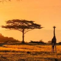 traveloafrica