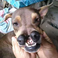 raldy