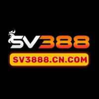 sv3888cncom2