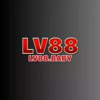 lv88baby
