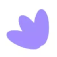 nursingessaywritingservice