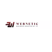 websitewebnetic