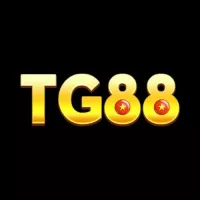 tg88nycom