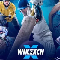 winexchbetinfo