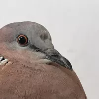 kksk3379