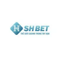 shbet800com