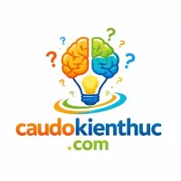 caudokienthuc