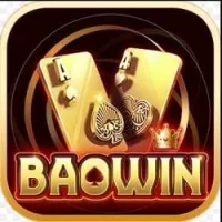 baowin1org