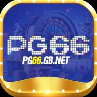 pg66gbnet