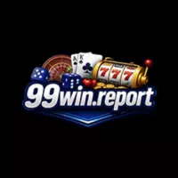 winreport99