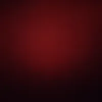dsylum