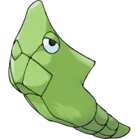 metapod