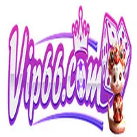 vip66mobile