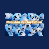 nuoidande25sok