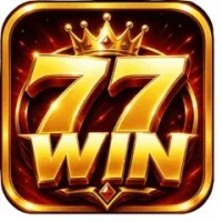 winnvipcom