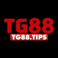 tg88tips