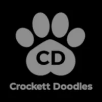 crockettdoodles_cockapoos