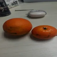 foxxxxc
