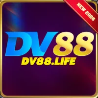 dv88life