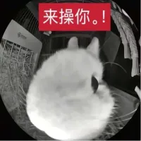 baisha