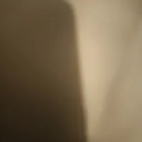 wu111