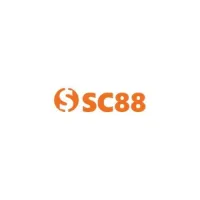 c88seocom1