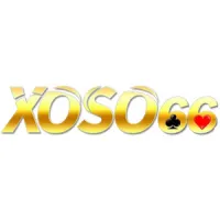 fxoso66com