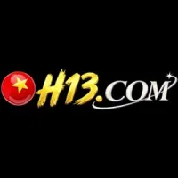 h13digital1